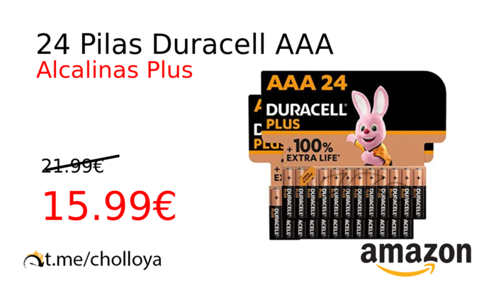 24 Pilas Duracell AAA