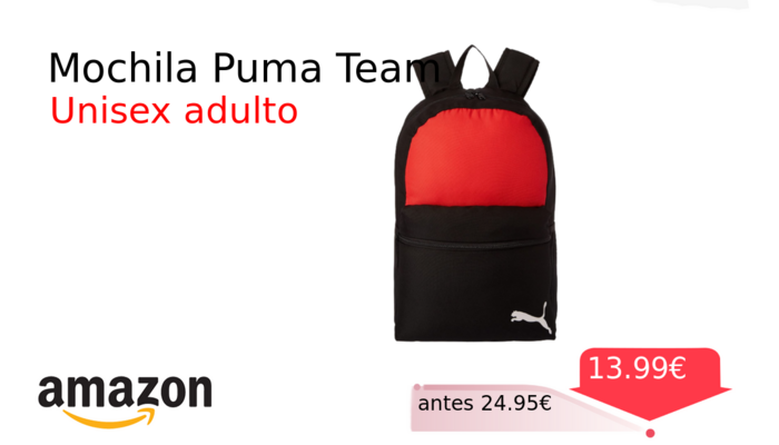 Mochila Puma Team