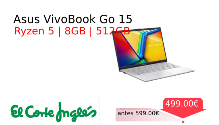 Asus VivoBook Go 15