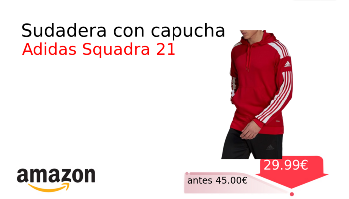 Sudadera con capucha