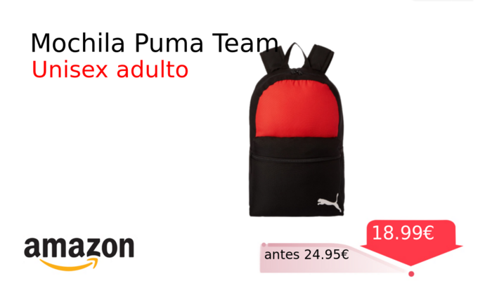 Mochila Puma Team