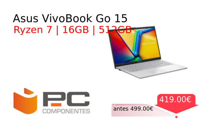 Asus VivoBook Go 15
