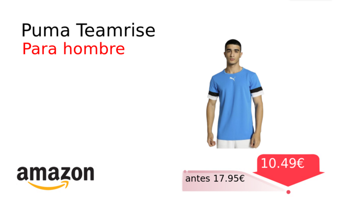 Puma Teamrise
