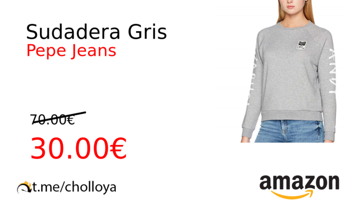 Sudadera Gris