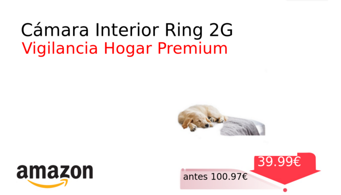 Cámara Interior Ring 2G