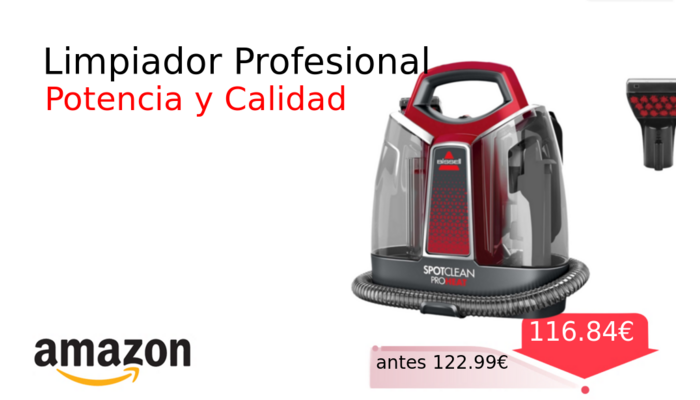 Limpiador Profesional