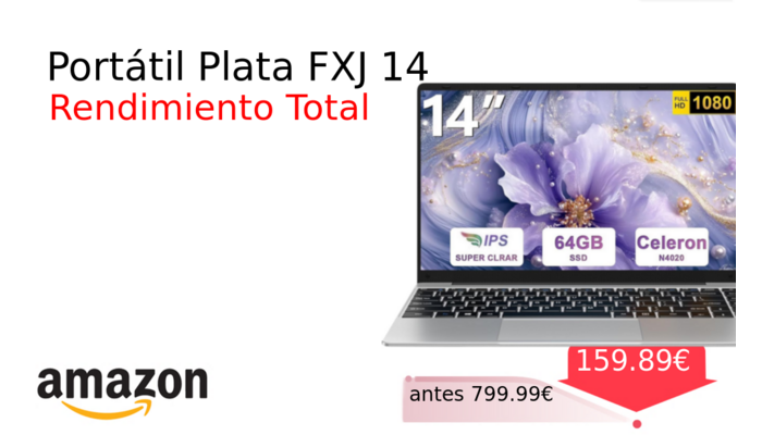 Portátil Plata FXJ 14