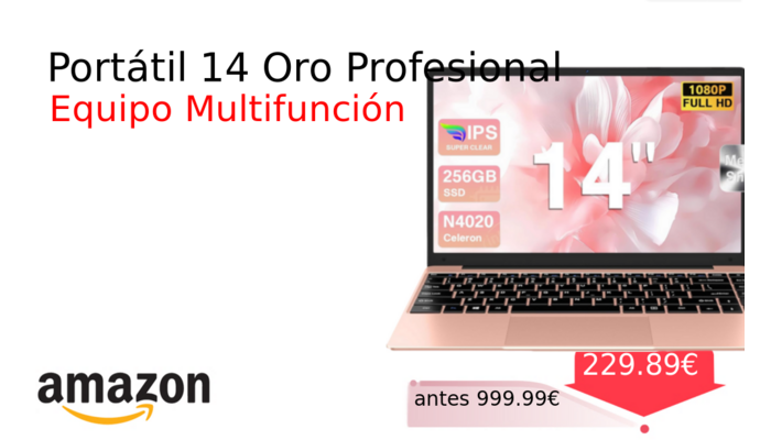 Portátil 14 Oro Profesional