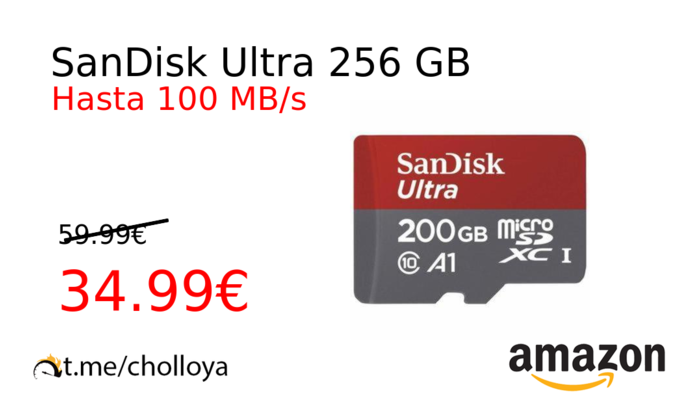 SanDisk Ultra 256 GB