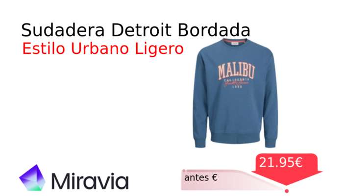 Sudadera Detroit Bordada