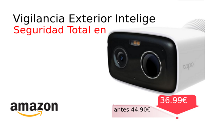 Vigilancia Exterior Intelige