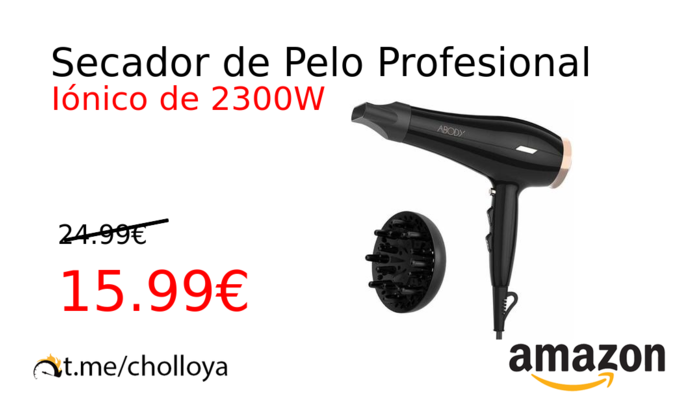 Secador de Pelo Profesional