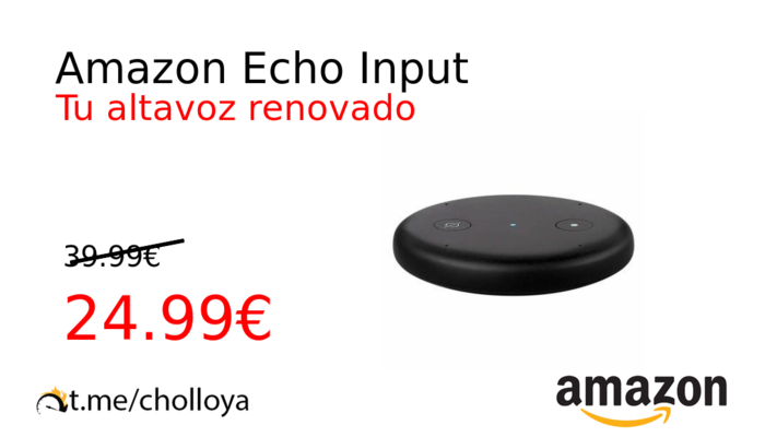 Amazon Echo Input