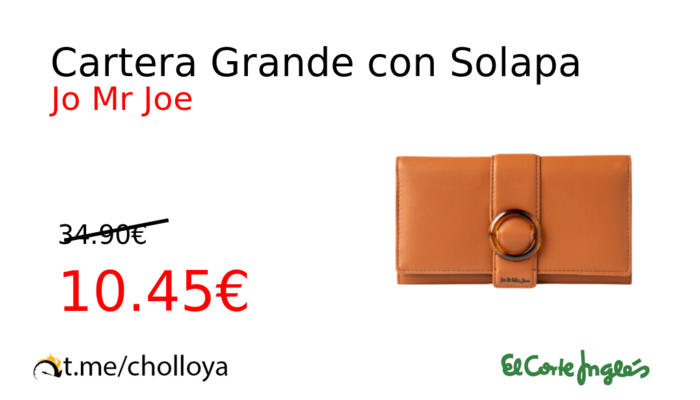 Cartera Grande con Solapa