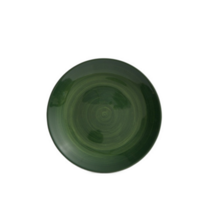 Plato Spinwash Diario