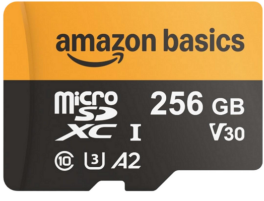 MicroSDXC 256GB Velocidad