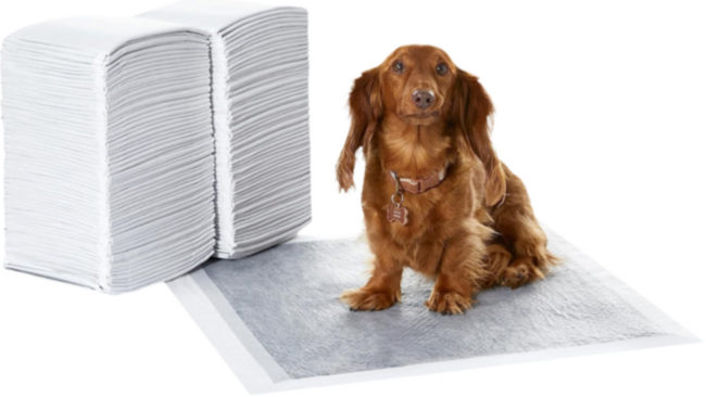 Almohadillas Entrenamiento