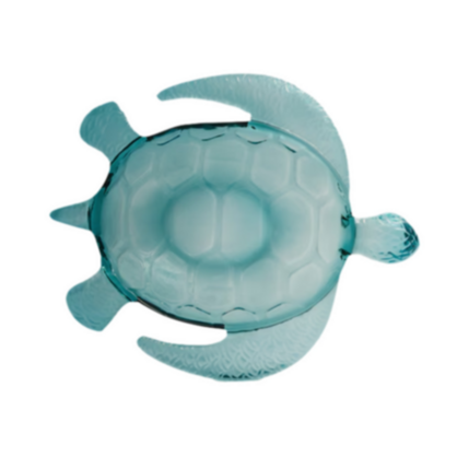 Tortuga Marina Acrílica