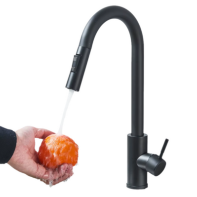 Grifo Cocina Extraíble Dual