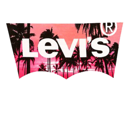 Especial Levi's