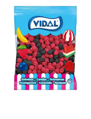Moras Vidal