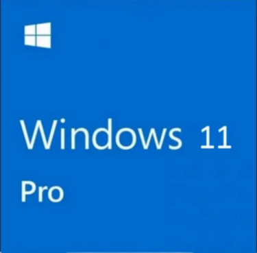 Windows 11 Pro