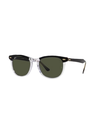 Gafas de sol Ray-Ban