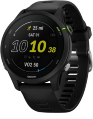 Garmin Forerunner 255