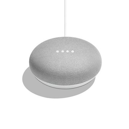 2 x Google Home Mini
